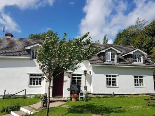 Coynant Farm Guesthouse - Farm Park Stay Llangammarch Wells