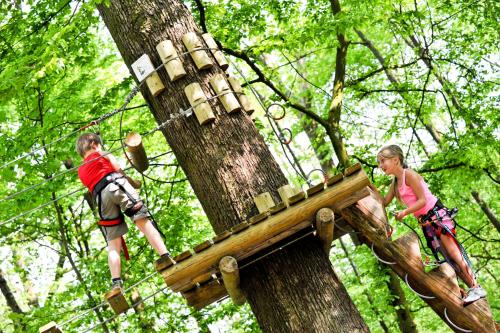 Golden Lakes Village Ardennes - image 13