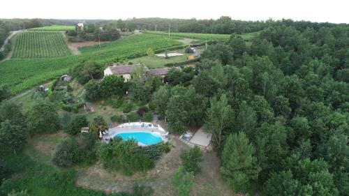 Le Triangle d'Or photo 16