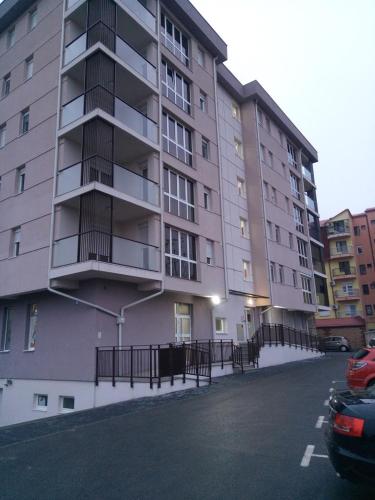 Anja - image 12