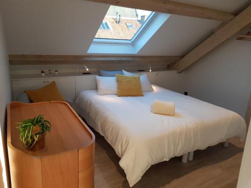 Homey - Kortrijk - image 11