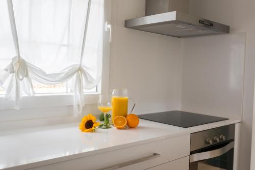 Llucmaçanes Gran Agroturismo