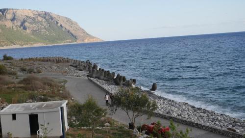 Zorbas Studios