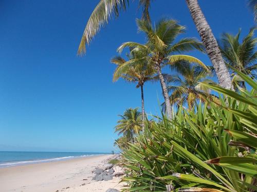 playa, Onca 1024 in Porto Seguro