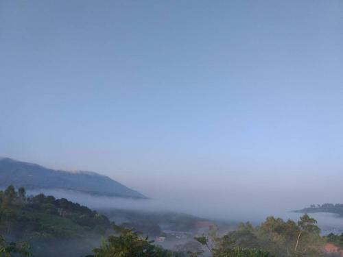 scallywags gili air jl gili air lombok indonesia id 83125 hotel le massilia rua henrique gurjo 236