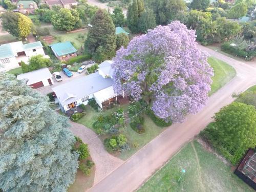 Art Gallery Guest House