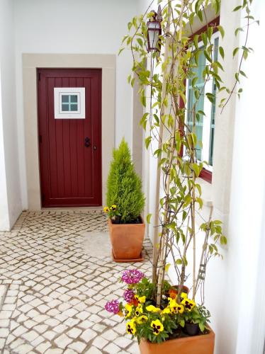 Casa do Largo - Golegã - Turismo de Habitação - image 13