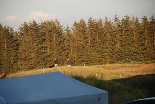 Hytteby – Hanstholm Camping – Thy Feriepark - image 13