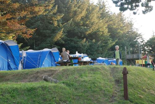 Hytteby – Hanstholm Camping – Thy Feriepark - image 5