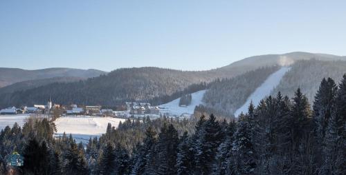 Lake Peak Apartments, Ribniško Pohorje