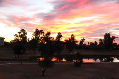 Park Suites at 118 - One Bedroom Apartment Phoenix (AZ)