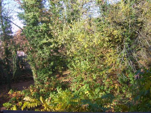 Garden Apartment - main image