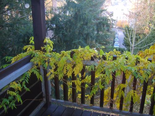 Garden Apartment In Baden Baden Deutschland 200 Bewertungen