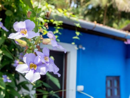 Villa Khatun Guesthouse photo 1