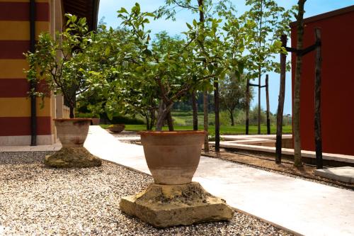 Agriturismo Sommavalle, Verona (foto 11)