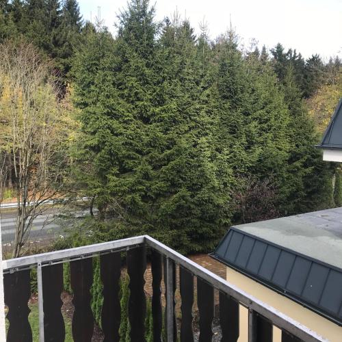 Winterberg Sport Apartment 8