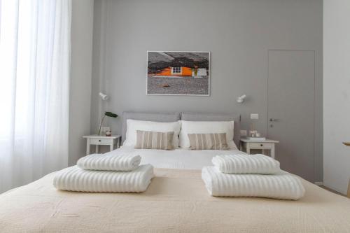 Luxury and spacious apartment (Bocconi)