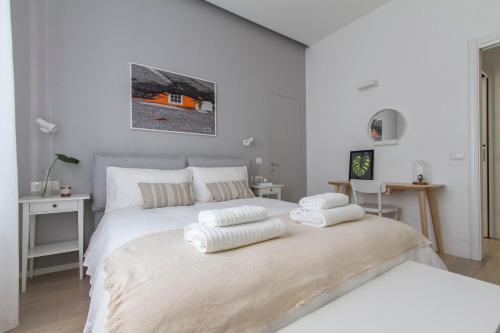 Luxury and spacious apartment (Bocconi)