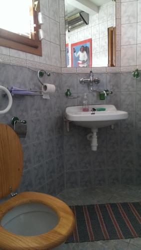 chata Ivka Leštiny - image 13