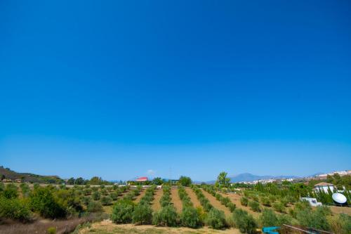 Cubo´s Finca Mis Seis Soles