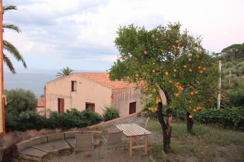 Villa Palamara 1868 Apartments