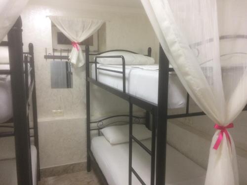 Hostel Mini