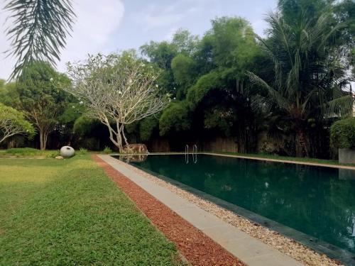 Villa White Queen photo 3