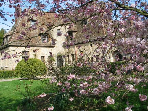 Ieeja, Le Logis D'Arniere in Saint-Cyr-sous-Dourdan (Ile-de-France)