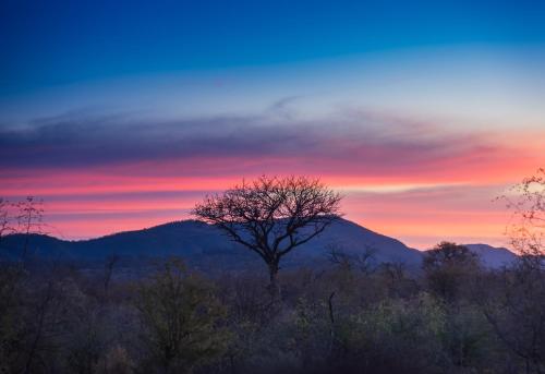 Rockfig Lodge Madikwe