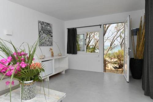 Surfing Beach Front Suites