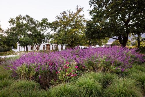 Vrede en Lust Estate