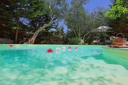 Lili Luxury Cottage - main image
