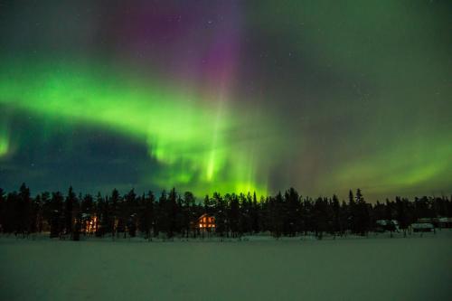 Lapland Dream Villas - image 13