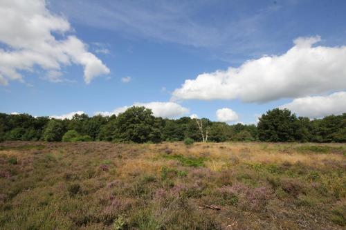 Siblu De Lente van Drenthe