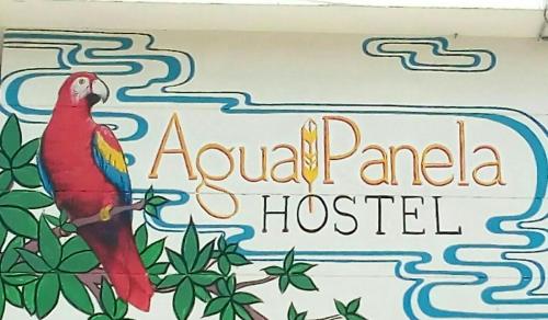 

Butterfly Hostel