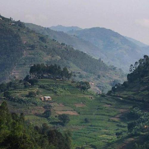 Nyungwe Nziza Ecolodge