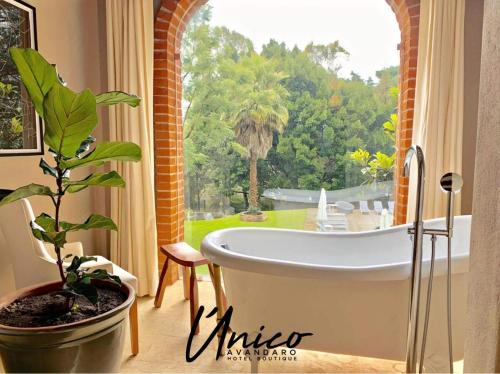 Bathroom, Hotel Boutique Unico Avandaro in Valle De Bravo