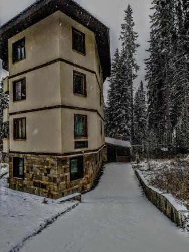 Evrika Forest - Apartment - Pamporovo