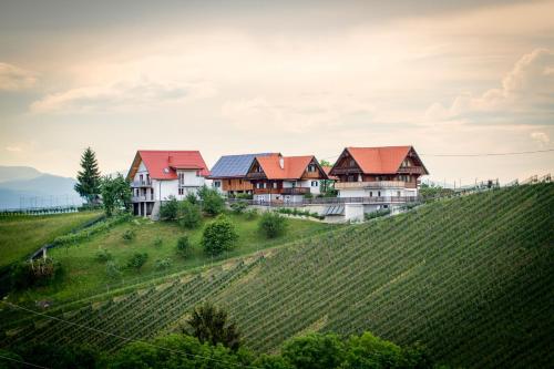 Ferienwohnung Traumaussicht in Leutschach, Österreich