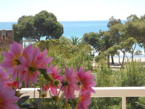 Photo - Hotel Tramontana