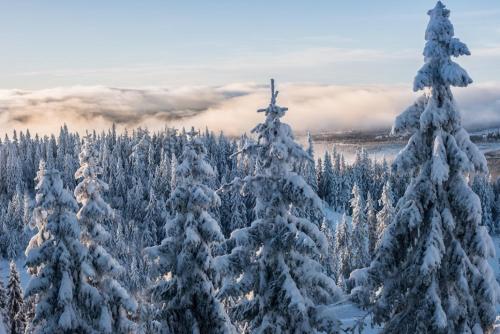 Mountain Lodge - image 11
