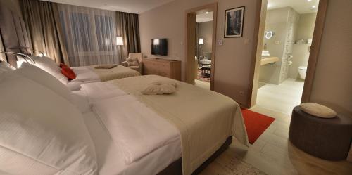 Apollo Hotel Bratislava - image 4