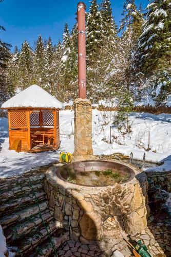 Osonnya Karpaty - image 10