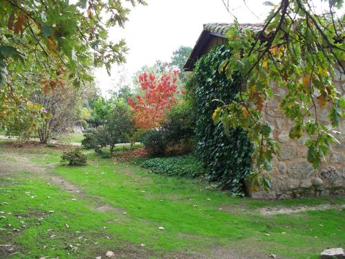 Apartamentos El Roble - image 4