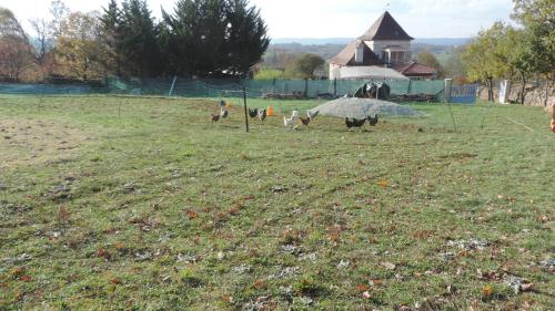 Le Mas de Cascabel - Location saisonnière - Causse-et-Diège