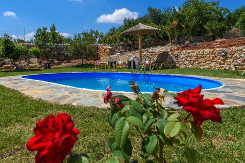  Villa Afrodite in Kalamítsion Amigdhálion