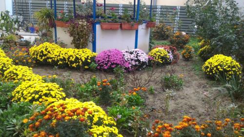 Hostel Ruschuk - image 10