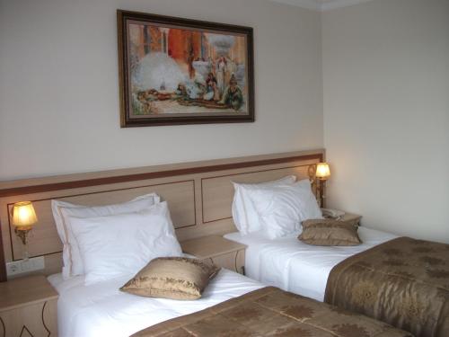 Sultan Palace Hotel, Istanbul (fotografie 9)