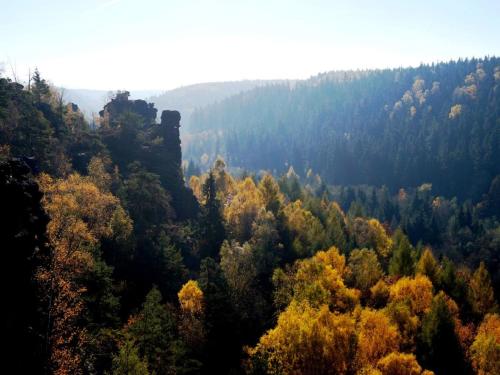 Sachsenstübel