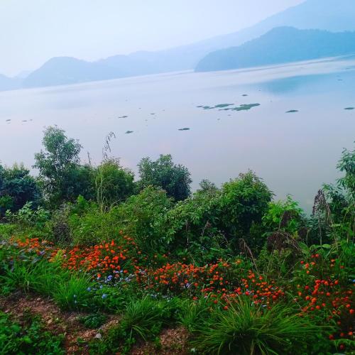 Begnas Lake Front Guest House